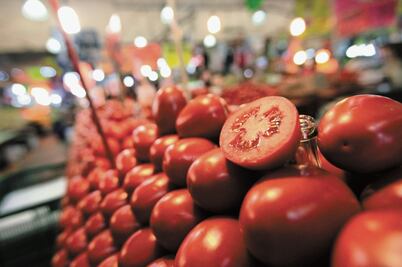 Buscan disminuir virus de tomate