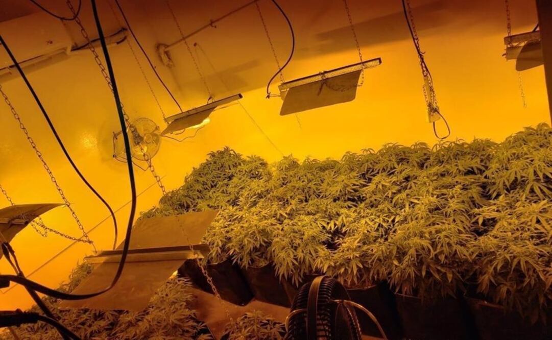 Fotografía: Especial.