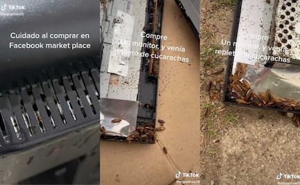 Compra monitor por internet; descubre que está lleno de cucarachas 