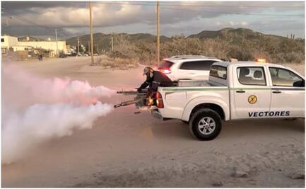 Repunta dengue en Baja California Sur; hay más de mil casos confirmados y 5 defunciones