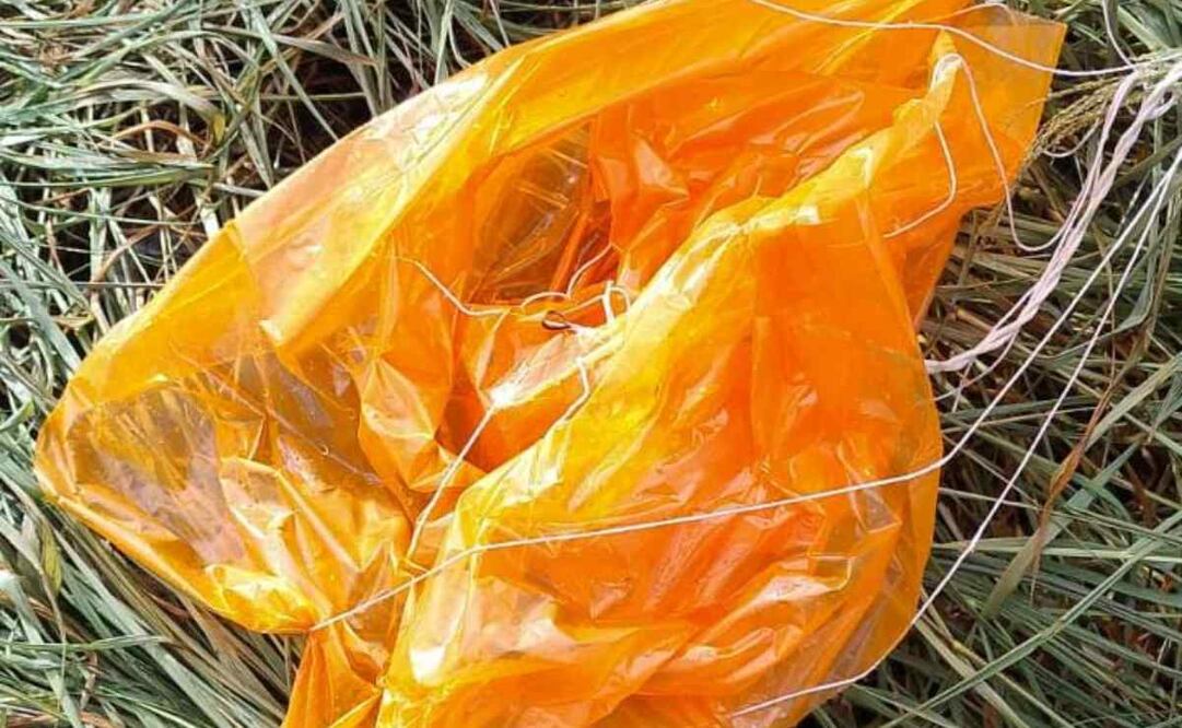 Al lugar arribaron elementos del Ejército Mexicano, Guardia Estatal y de la Fiscalía de Tamaulipas. Foto: Javier Hernández/ EL UNIVERSAL