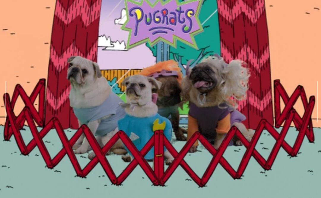 "Rugrats" recreado por perros pug . Foto: Captura de pantalla Facebook