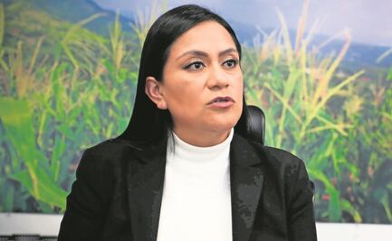 Nadie puede beneficiarse en política de los programas: secretaria de Bienestar