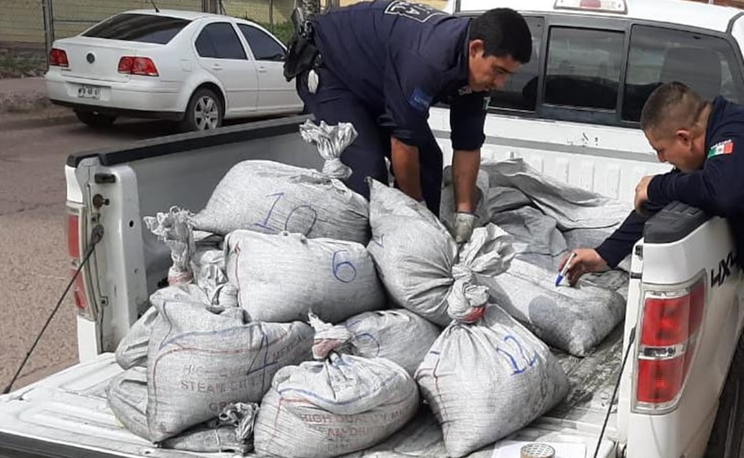 Foto: Seguridad Pública de Empalme