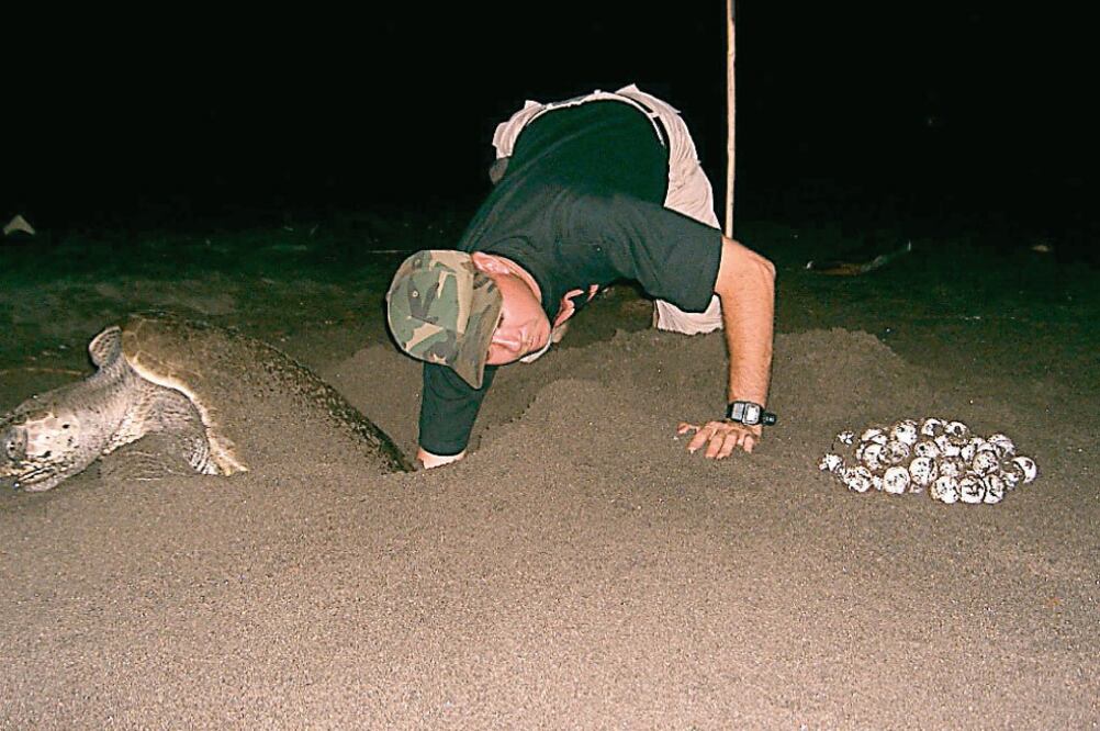 Oaxaca encabeza la lista de los estados con mayor número de huevos de tortuga saqueados; le siguen Guerrero y Chiapas, de acuerdo con reportes oficiales (ARCHIVO EL UNIVERSAL)