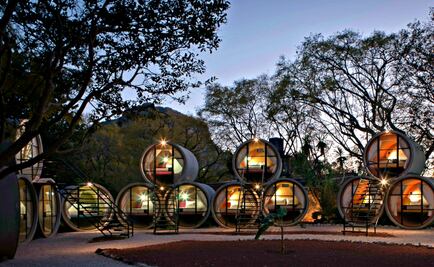 Duerme dentro de un tubo de concreto