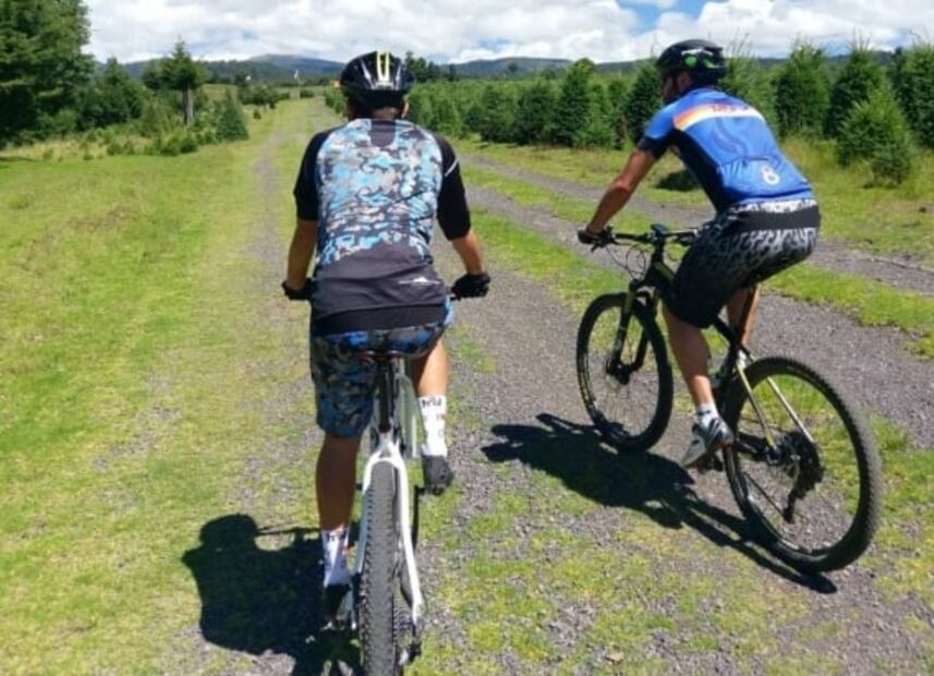 Alpinia, el parque donde se encuentra el laberinto más grande de México 