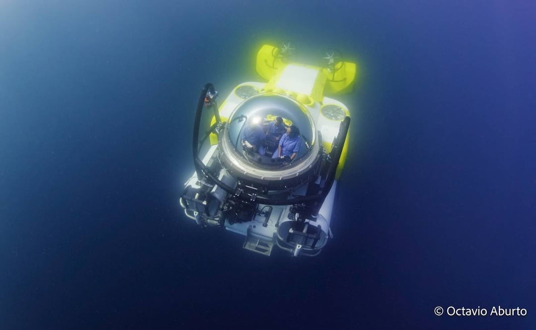 Los sumergibles llegan a las zonas profundas del océano donde ya no llega la luz. Foto: Octavio Aburto