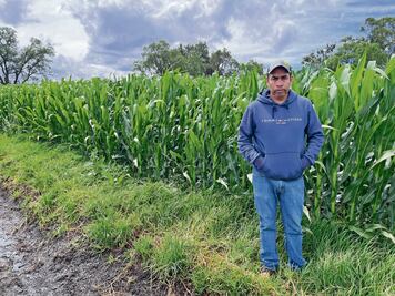 Agricultores temen rapiña en próxima cosecha de elotes