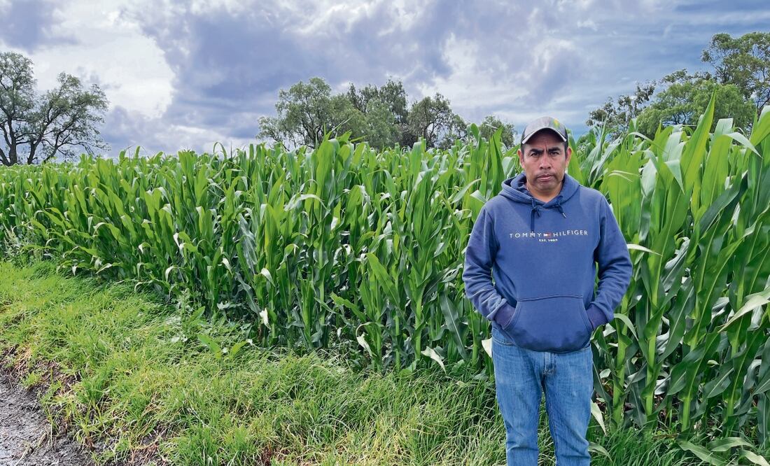 Rubén Rosales dice que antes les robaban un costalito, pero ahora llegan en camionetas. Foto: Arturo Contreras EL UNIVERSAL