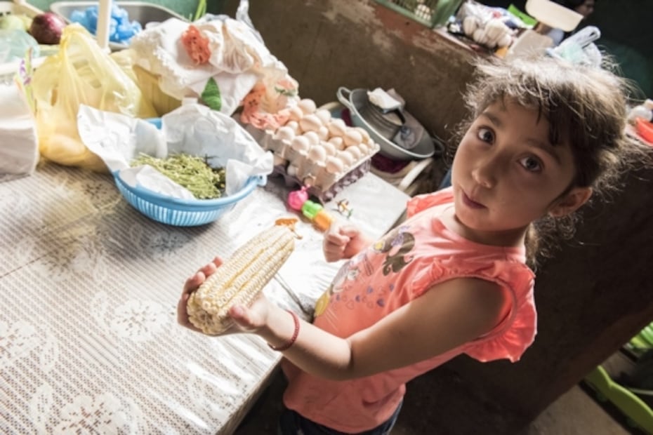 Maíz y nixtamal en Santiago de Pinos, Jalisco