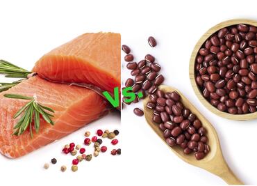¿Cuál es mejor? Proteína animal vs. vegetal