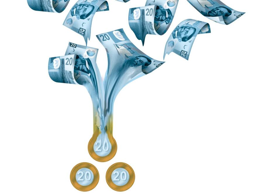 Ilustración: Ani Cortés