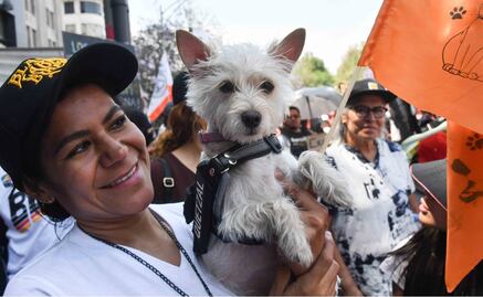 FOTOS: Con pancartas y consignas, alzan la voz para pedir respeto y trato digno para los animales