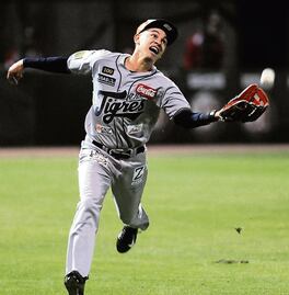 Tigres seguirá en la Liga Mexicana  