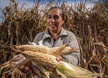 Reporta Sader avance de 97.7% en programa de apoyos a productores de granos para el Bienestar