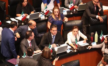 PAN en el Senado pide que Formato de Declaración Patrimonial inicie en diciembre