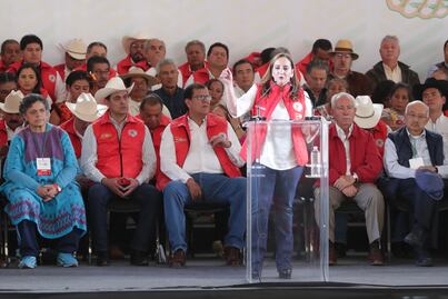 Reconoce Claudia Ruiz Massieu que el PRI sufrió un "colapso electoral"