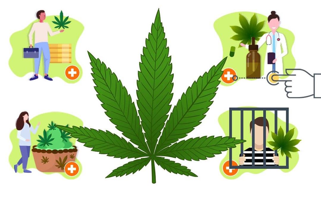 Foto: Diseño EL UNIVERSAL