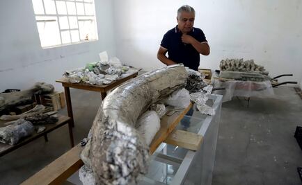 Hallan fósiles animales de entre 10 mil y 14 mil años en Puebla