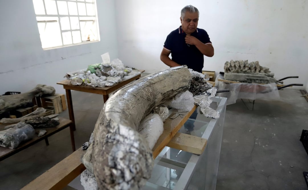 Foto: EFE/ Hilda Ríos