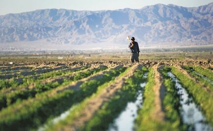 Peña Nieto entregará equipo de riego agrícola en Zacatecas