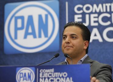 Ni un voto del PAN a la reforma eléctrica en el Senado: Damián Zepeda
