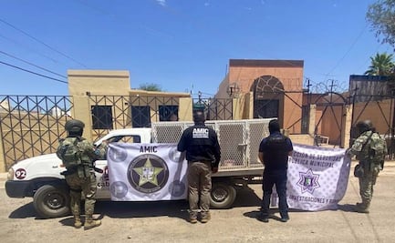 Rescatan a perrito maltratado en Sonora; es resguardado por Control Animal Municipal