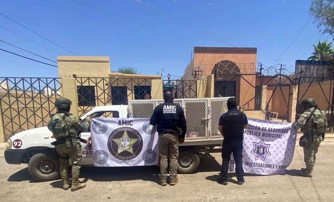 Rescatan a perro maltratado de domicilio en Sonora (14/08/2025). Foto: Especial