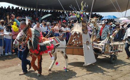 “El burro apache” triunfa en Feria Nacional del Burro en Otumba
