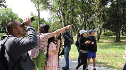 Cuándo es el recorrido sensorial en el Audiorama de Chapultepec