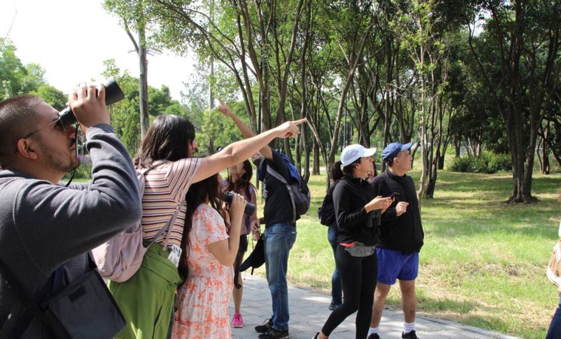 En esta actividad de Chapultepec no se admitirá el uso de aparatos electrónicos. Foto: Bosque de Chapultepec