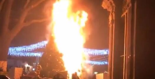 Pino navideño se quema en plaza de Morelia