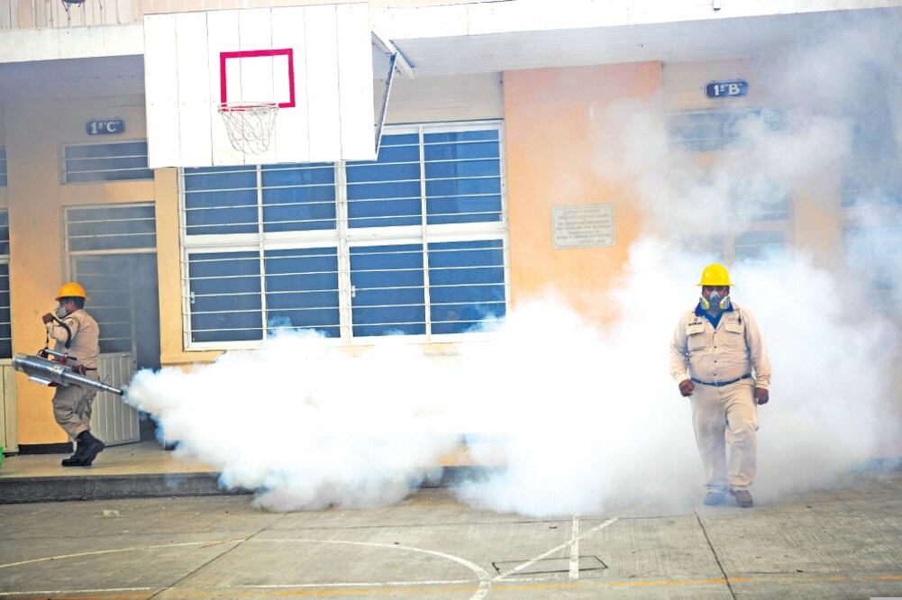 El Consejo Nacional de Salud informa que es importante seguir con las acciones de fumigación para evitar la propagación del mosquito transmisor (ARCHIVO EL UNIVERSAL)