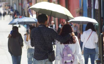 Ola de calor: ¿Cuál ha sido la temperatura más alta registrada en lo que va del año en la Ciudad de México?