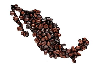 ¡Orgullo mexicano! Conoce estos productos que cuentan con Denominación de Origen mexicana