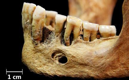 Investigadores identifican a la primera generación de africanos que llegó a América