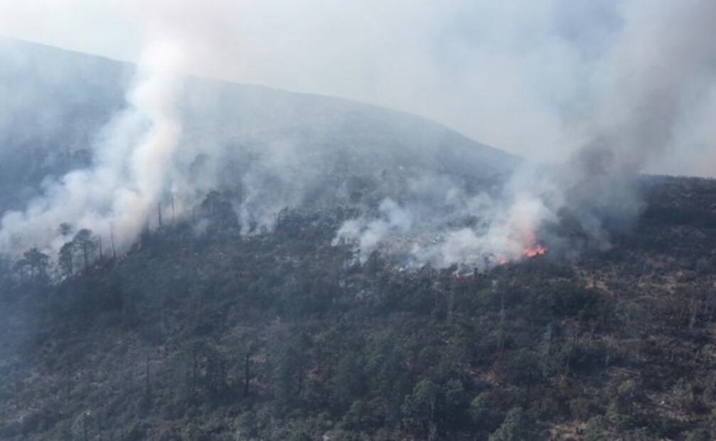 Fuertes vientos dificultan labores para sofocar incendio en Sierra de Arteaga, Coahuila