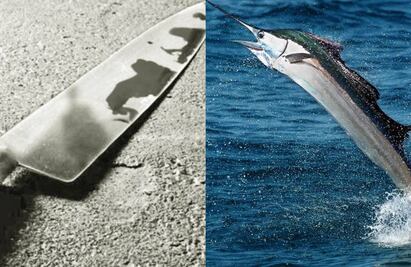 Con cuchillo y punta de pez vela mata a pescador en Mazatlán; le dan 22 años de cárcel