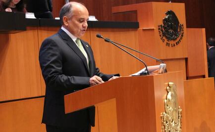 PRI propone en el Senado garantizar "derecho a la vida" desde la concepción