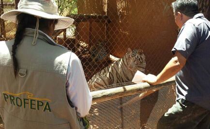 Detectan anomalías en 120 ejemplares de zoo en Sonora