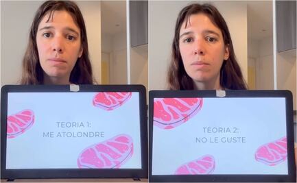 TikTok: Joven hace presentación en PowerPoint para explicar por qué la rechazó el chico que le gusta