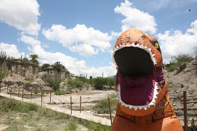 Camping en el Valle de Tehuacán, tierra de dinosaurios