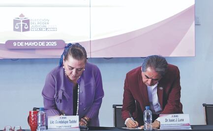 Partidos han respetado reglas, dice Taddei   