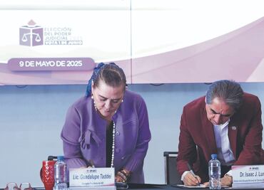 Partidos han respetado reglas, dice Taddei