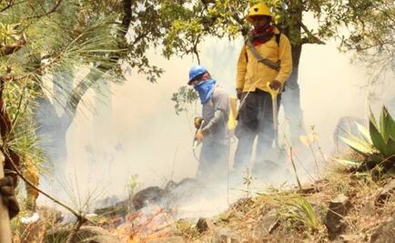 Fuego dañó 1.04% del Tepozteco: Conafor