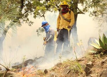 Fuego dañó 1.04% del Tepozteco: Conafor