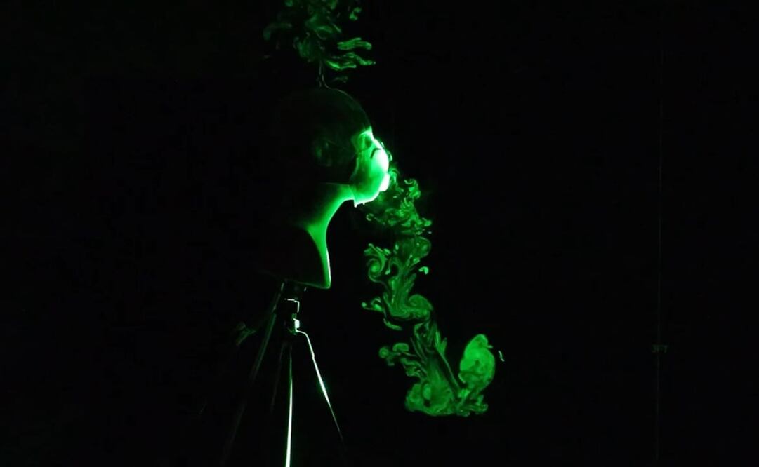 Foto: Captura video. Siddhartha Verma, Manhar R. Dhanak, y John Frankenfield, Florida Atlantic University