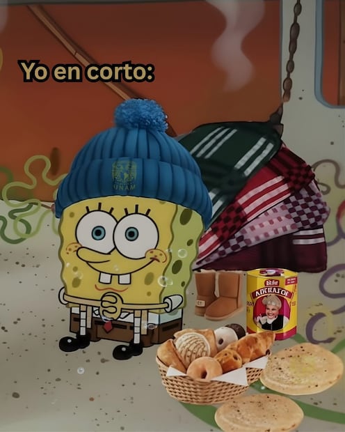 Los mejores memes que dejó el Frente Frío 29. Foto: Redes sociales