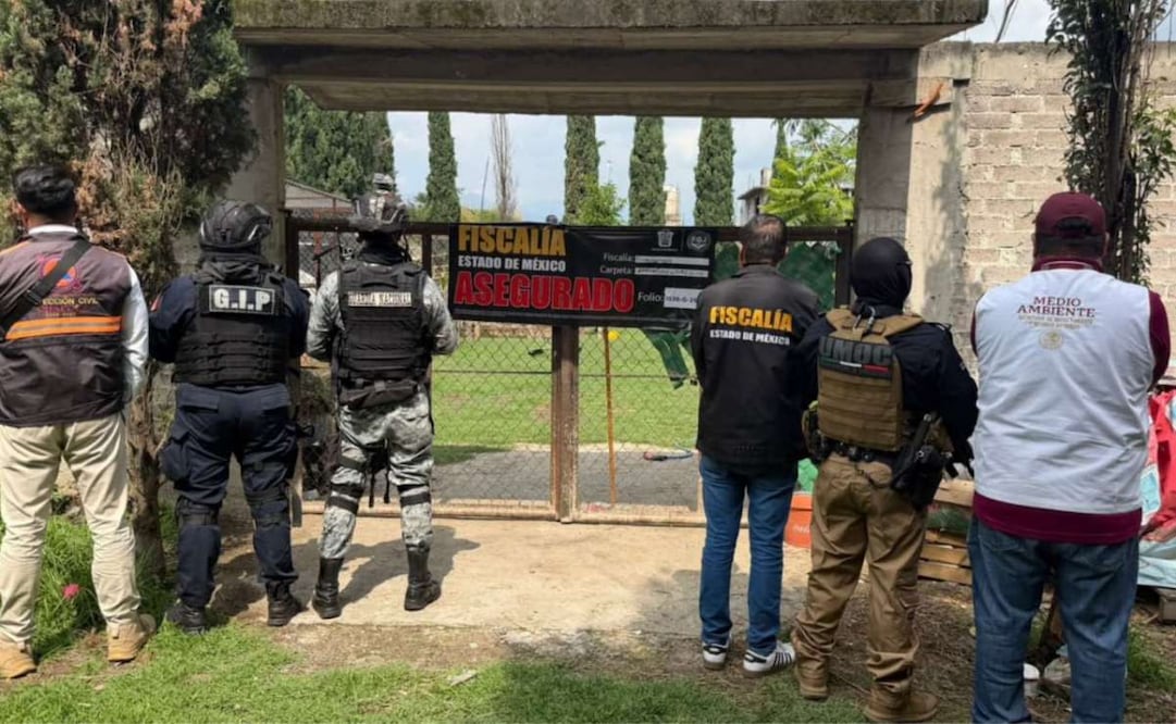 Aseguran 11 animales exóticos en Chalco; detienen a un presunto traficante.
Foto: Especial.